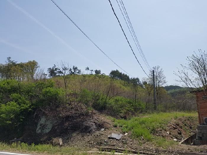 2025타경10165