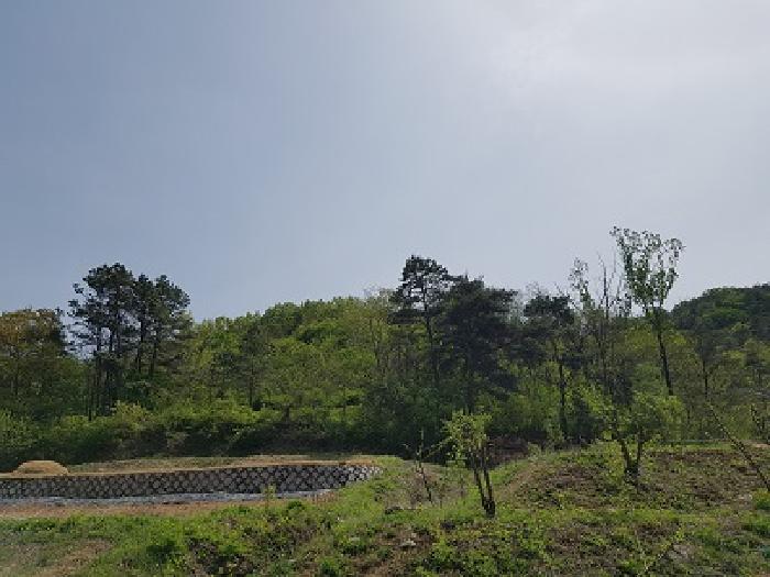 2025타경10167