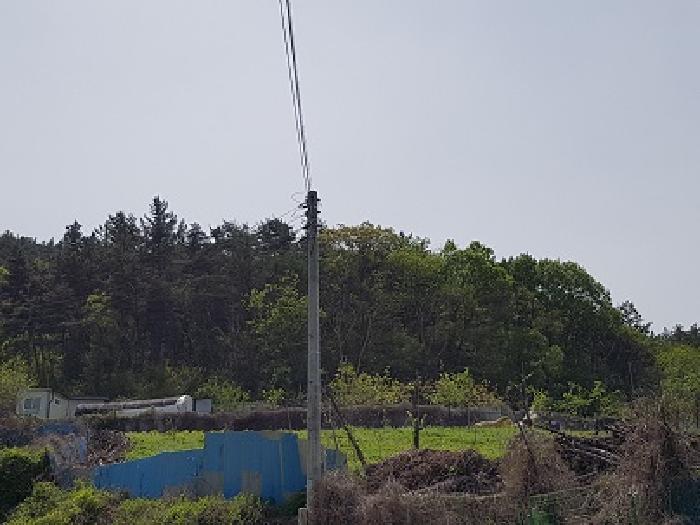 2025타경10167