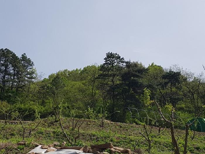 2025타경10167