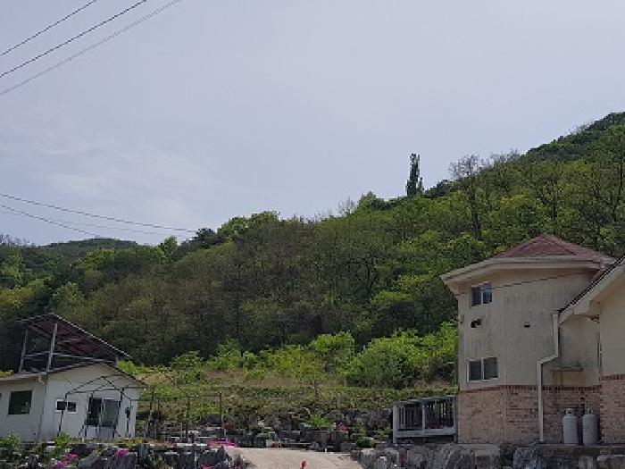 2025타경10167