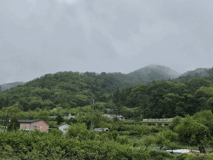 본건 전경
