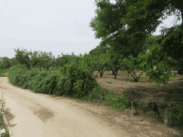 북동측 전경