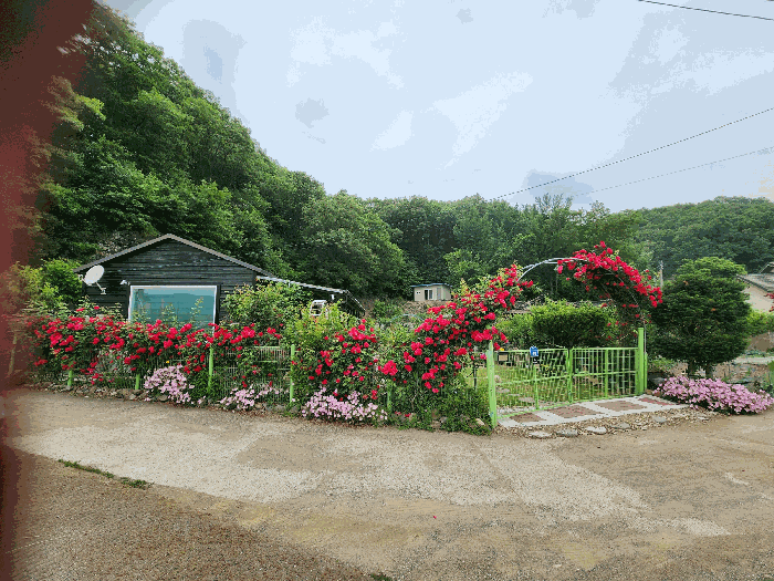 남서측