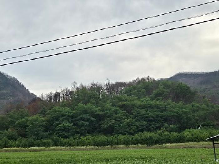 2025타경10235