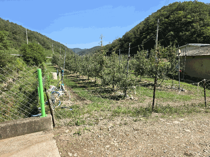 남서측 끝 부근