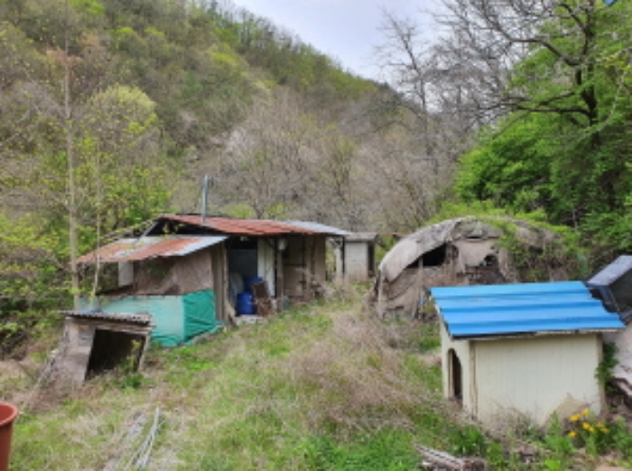 2021타경532[4]