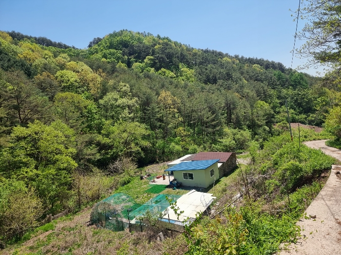 2021타경532[4]