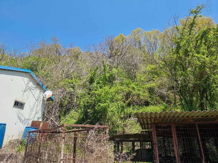 2021타경532[4]