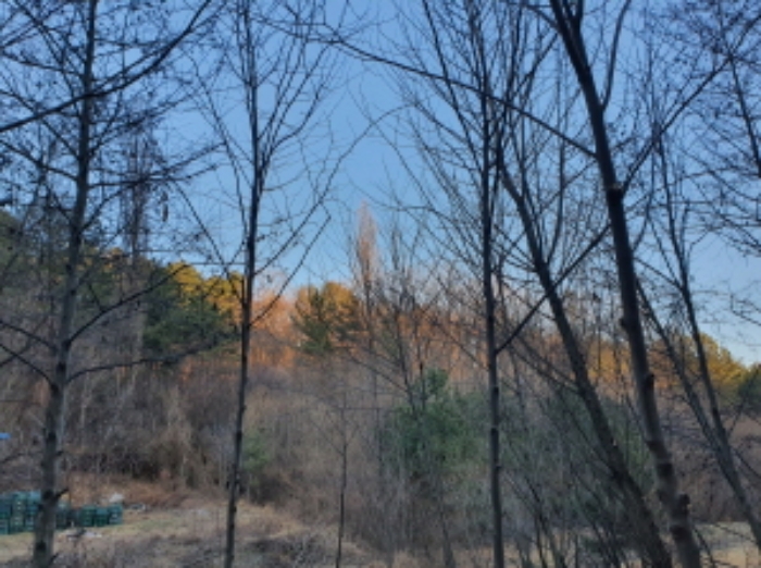 2021타경1412[2]