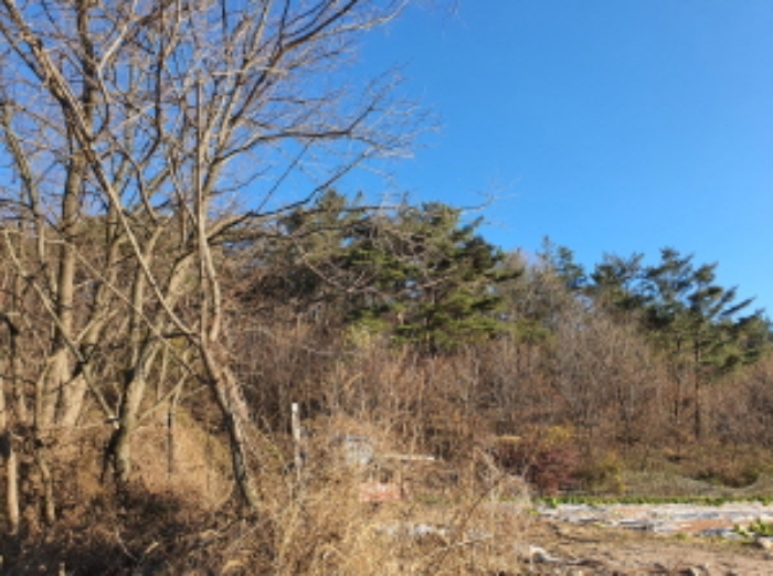 2021타경11532[2]