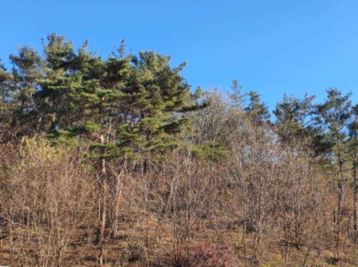 2021타경11532[2]