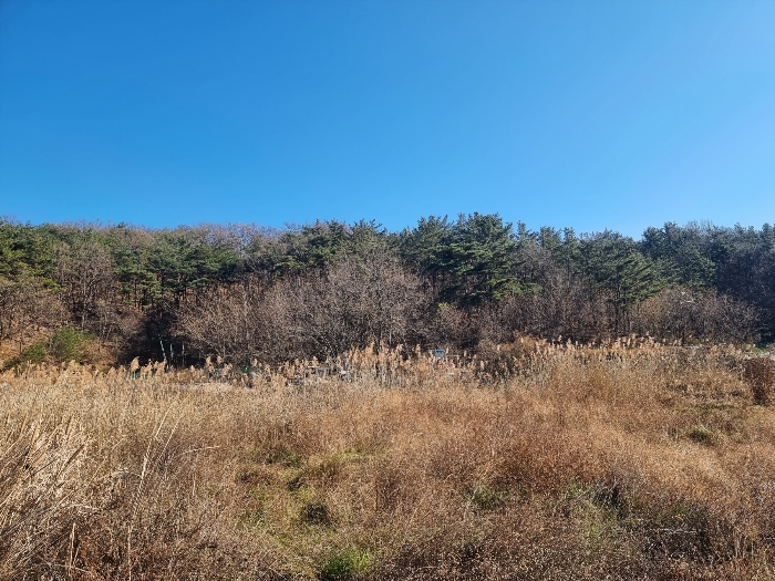 2021타경11532[2]