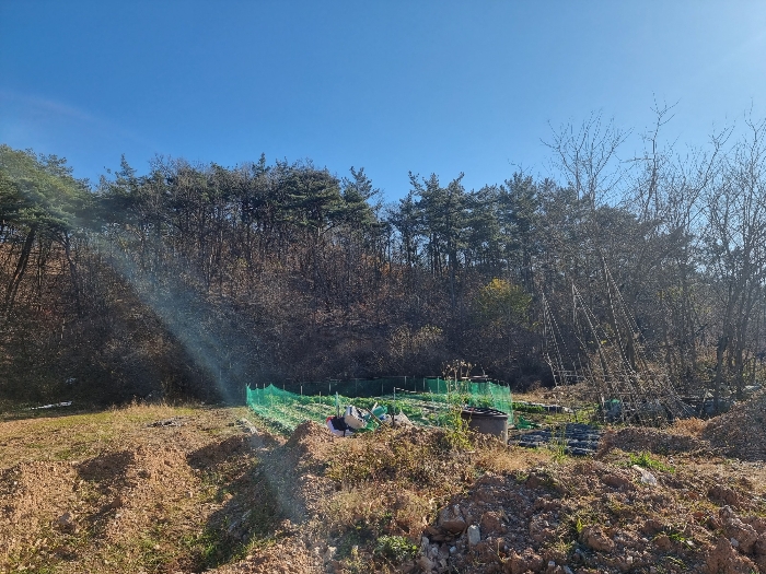 2021타경11532[2]