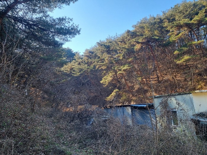 2021타경11532[2]