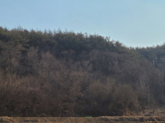 2022타경218
