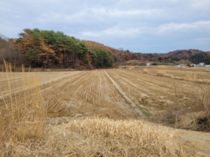 2022타경270[1]