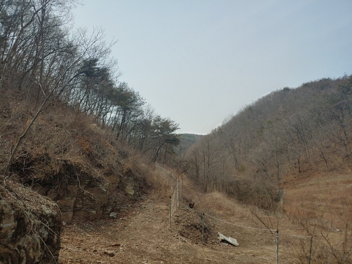 2022타경10239[2]