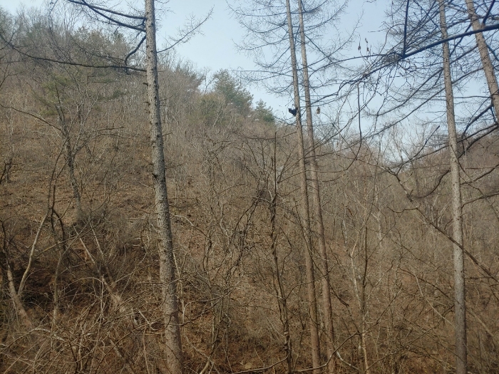 2022타경10239[2]