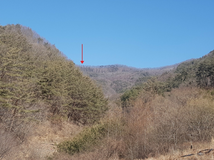 2022타경10253