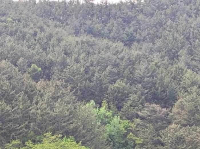 2022타경10567[1]