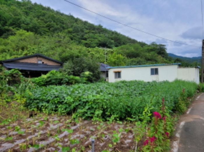 2022타경11027[1]