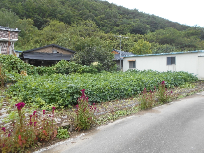2022타경11027[1]