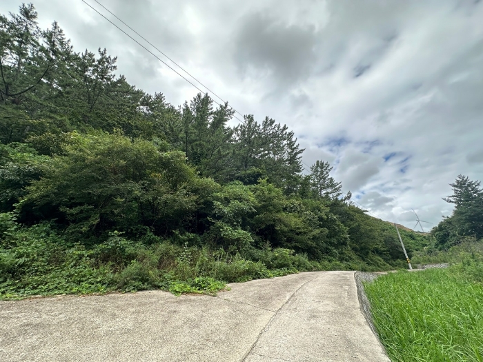 일련번호(1) 전경