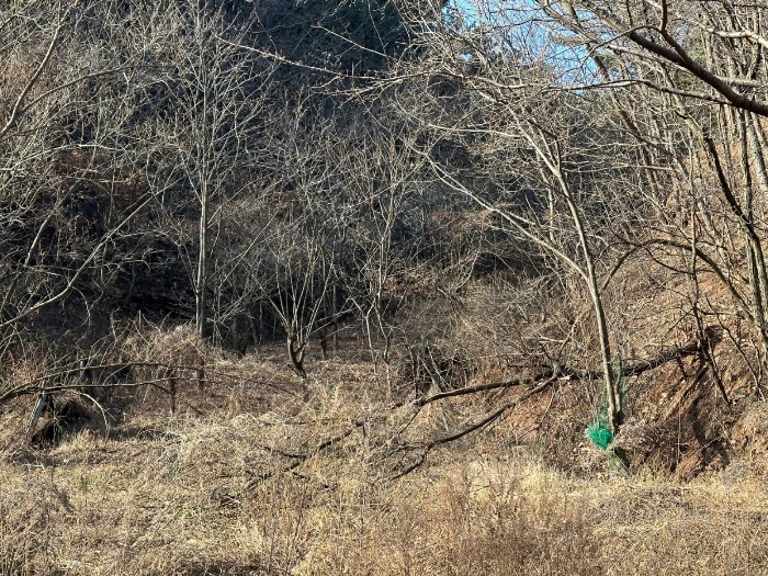 일련번호(3) 전경