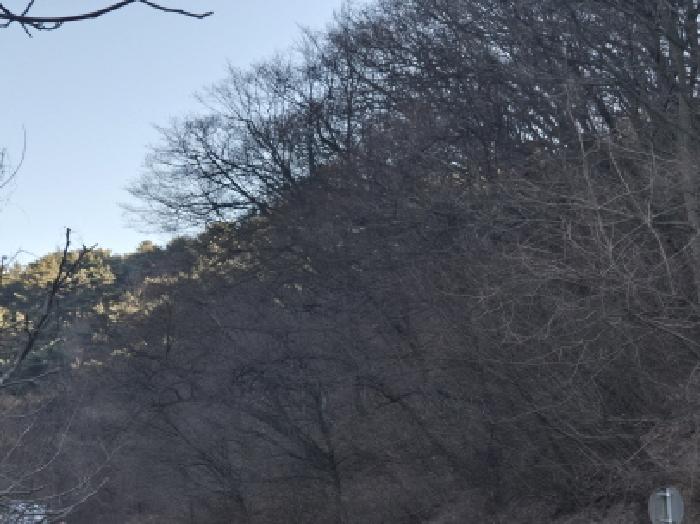 후포리 산48