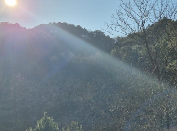 학곡리 산100,산101,산103,산104,산107-3,산53