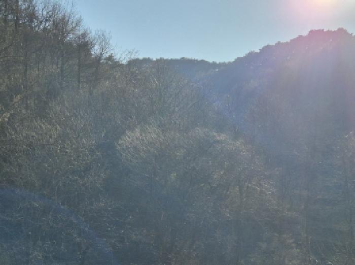 학곡리 산110,산112,산113,산114,산115,산117,산118,산119,산