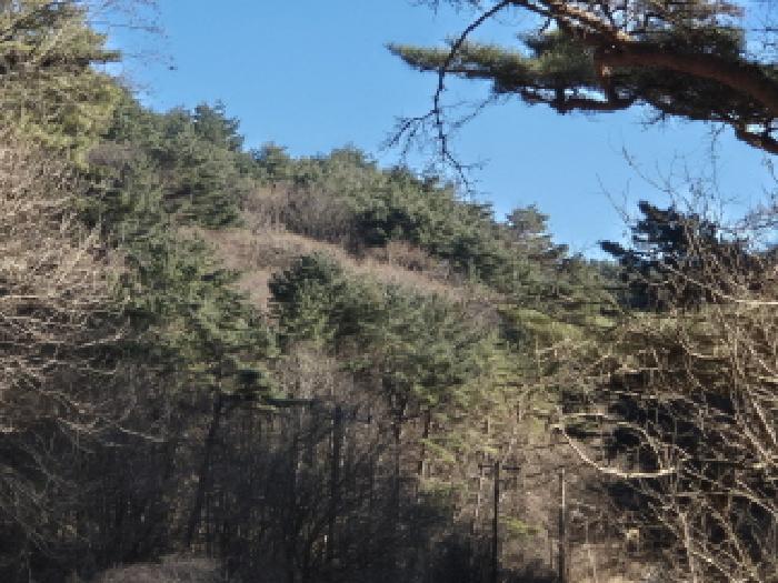 학곡리 산89,산96,산97,산98