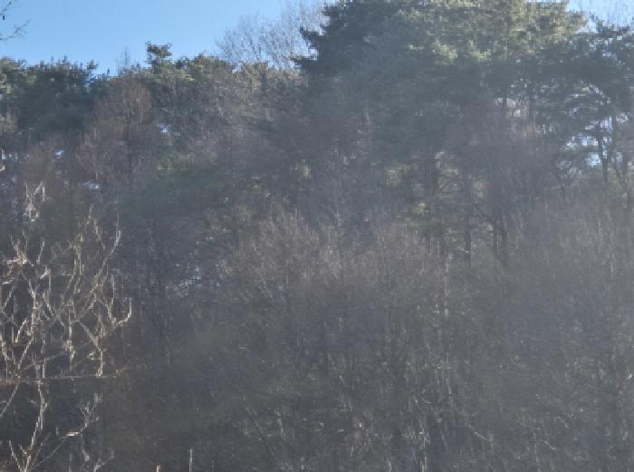 학곡리 산131,산137,산139,산140