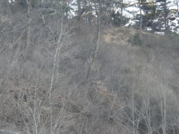 학곡리 산60-1,산60-2,산60-3