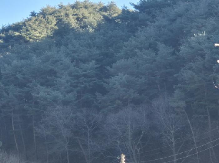 학곡리 산48-1