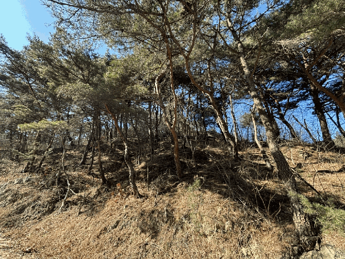 일련번호 23) 전경