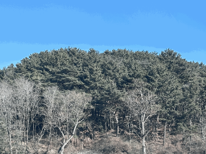 일련번호 2) 전경