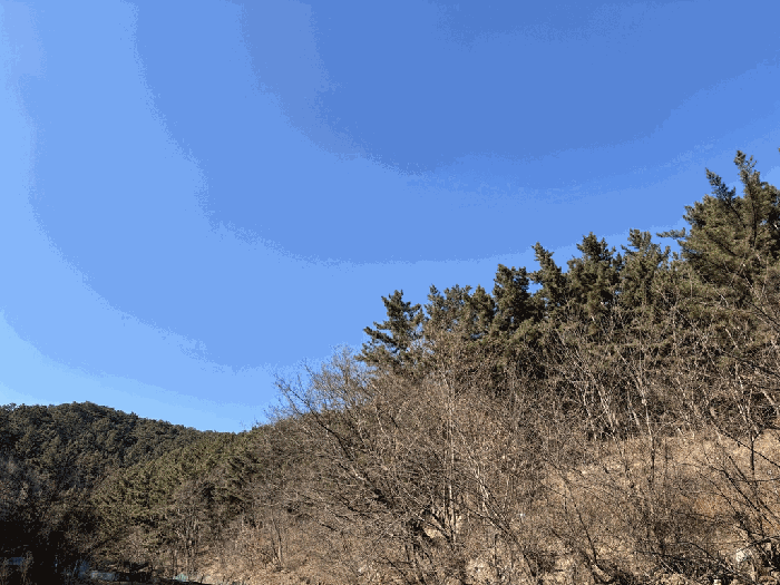 일련번호 24,25) 전경