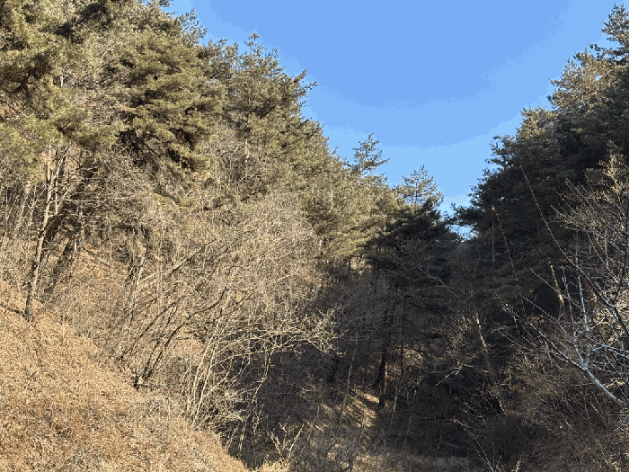 일련번호 26) 전경