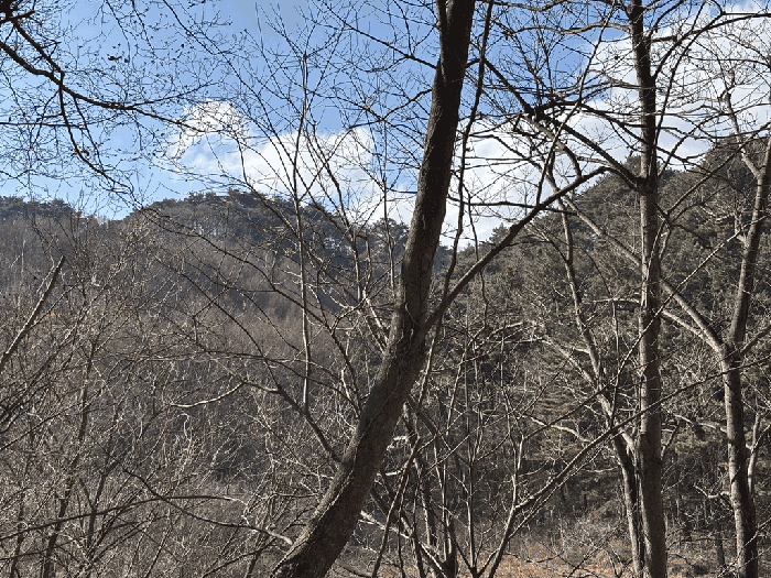 일련번호 34) 전경