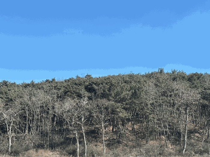 일련번호 21) 전경