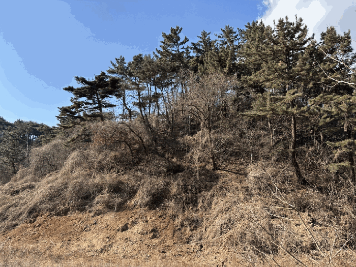 일련번호 11~18) 전경