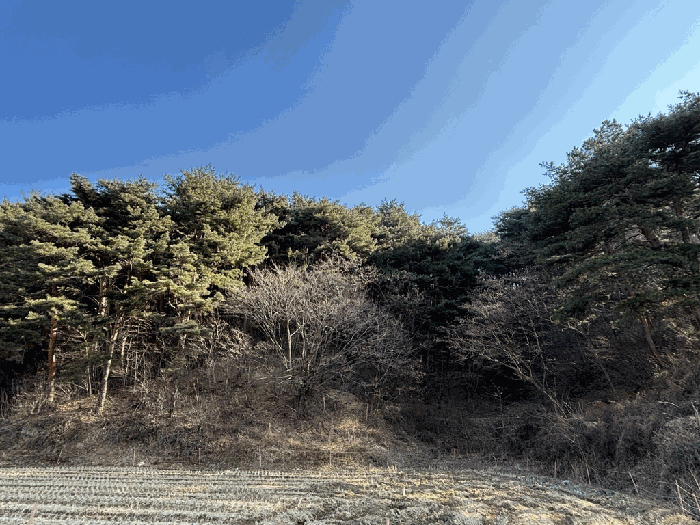 일련번호 27) 전경