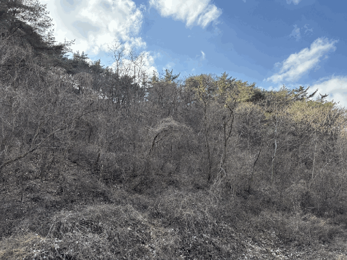 일련번호 30~32) 전경