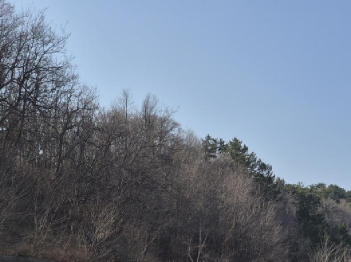 2025타경10185