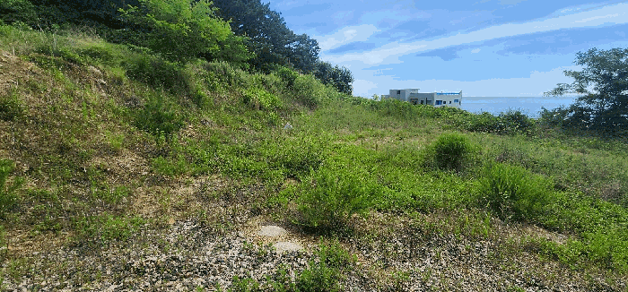 【 기호 4) 】