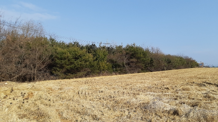 본건 전경3