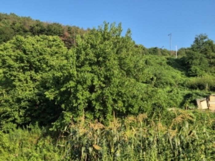 사진2