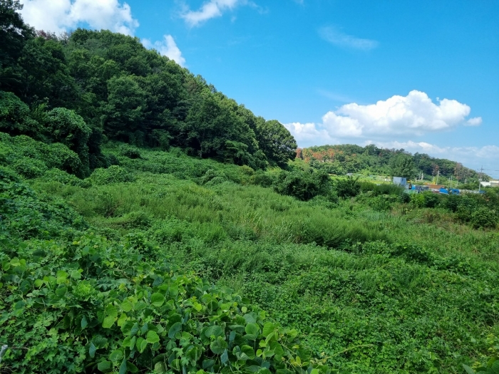 본건